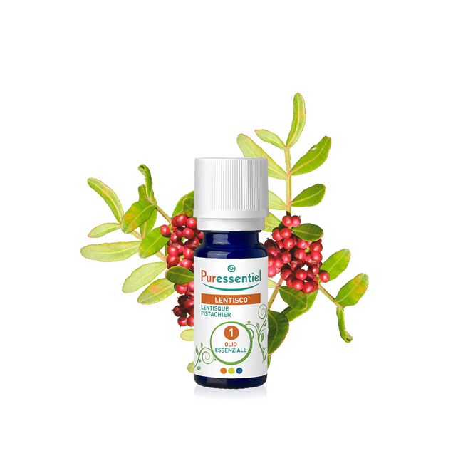Olio Essenziale di Lentisco 5 ml