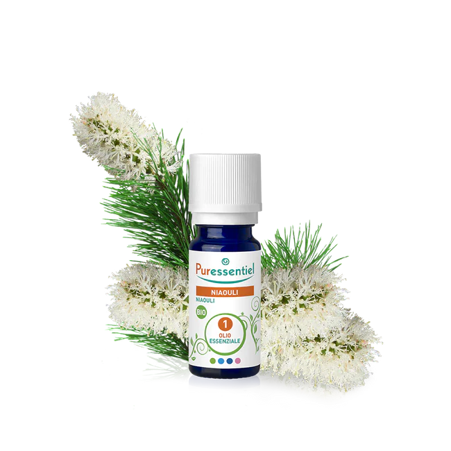Olio Essenziale di Niaouli Bio 10 ml