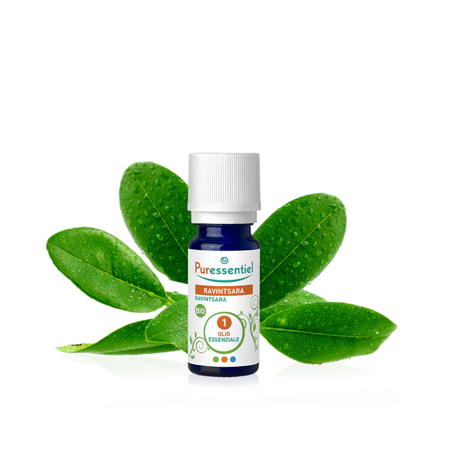 Olio Essenziale di Ravintsara Bio 10 ml