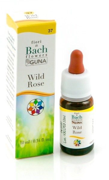Wild Rose 10 ml